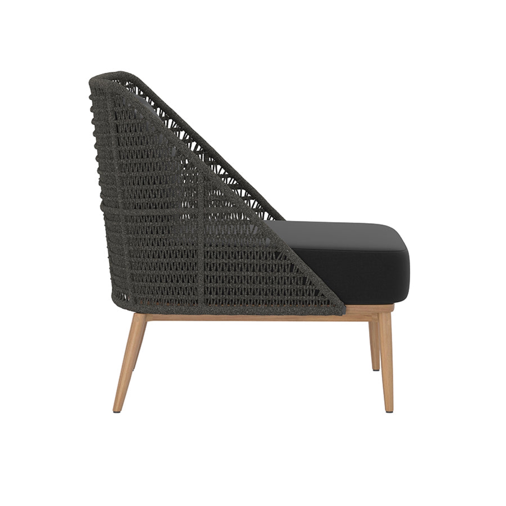 Andria Lounge Chair - Arashi Black