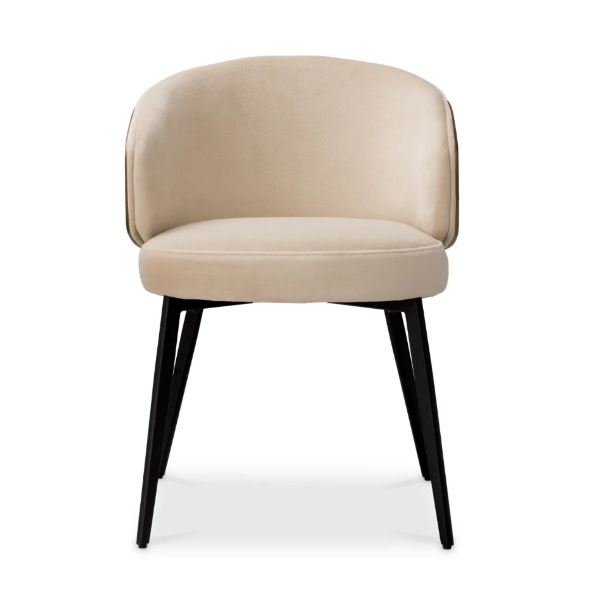Camerota Dining Chair
