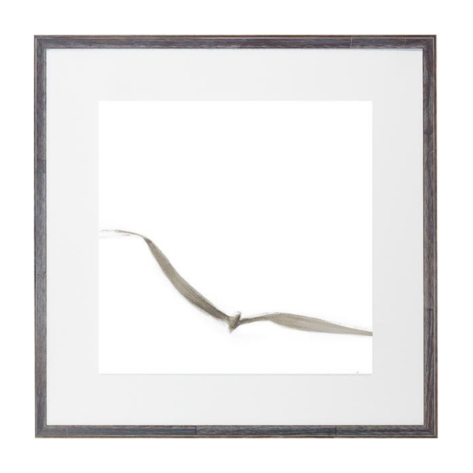 SEA GULL IV