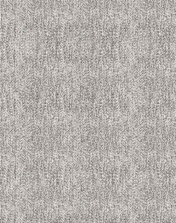 Tobiano Carpet - Silver