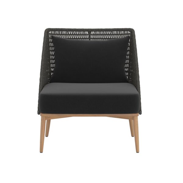 Andria Lounge Chair - Arashi Black